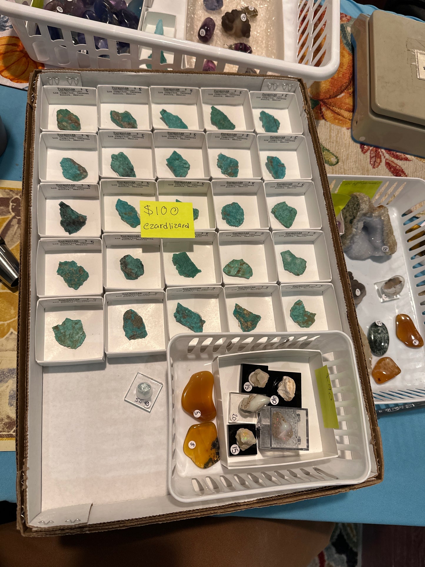 10/17/25 TikTok Live Show Order @ezardlizard