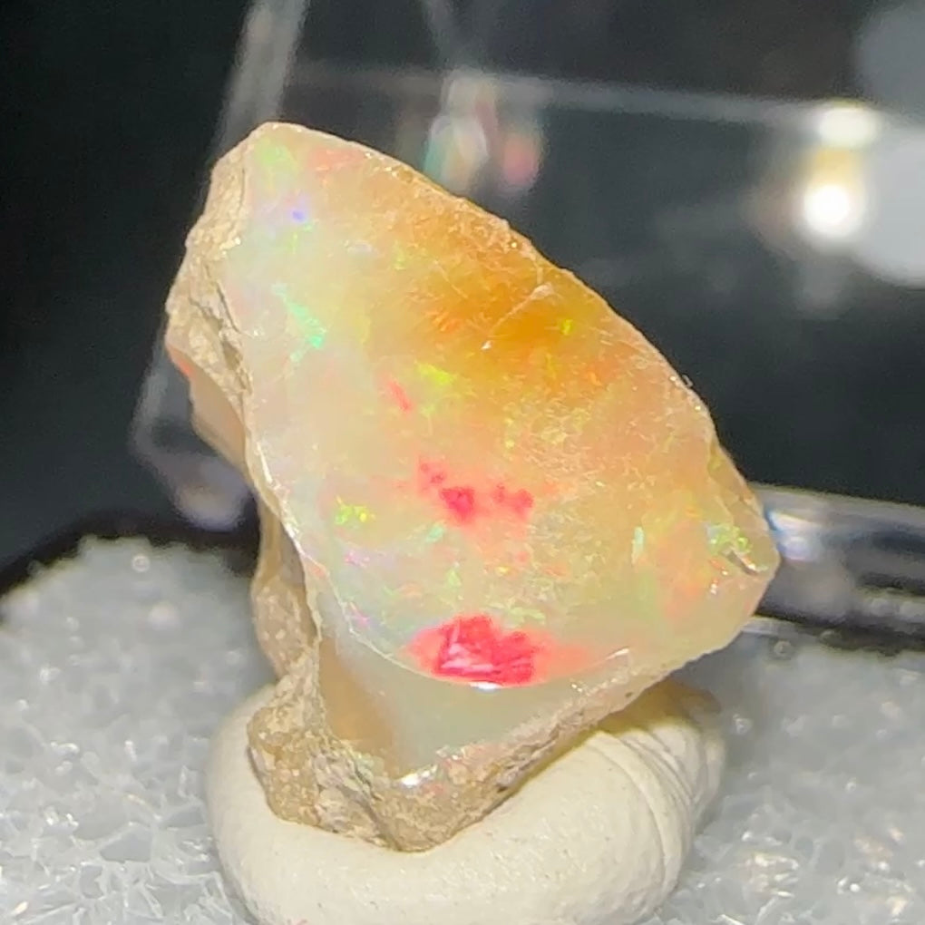 Stunning A+ Welo Opal in Perky Box from Ethiopia