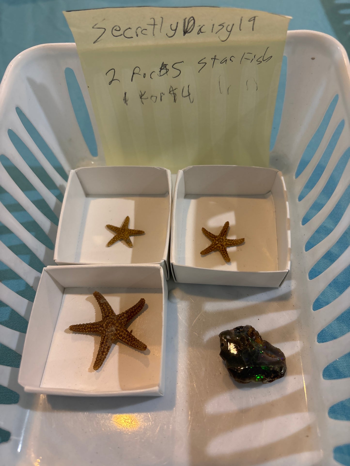 SecretlyDaisy19-6/5/26