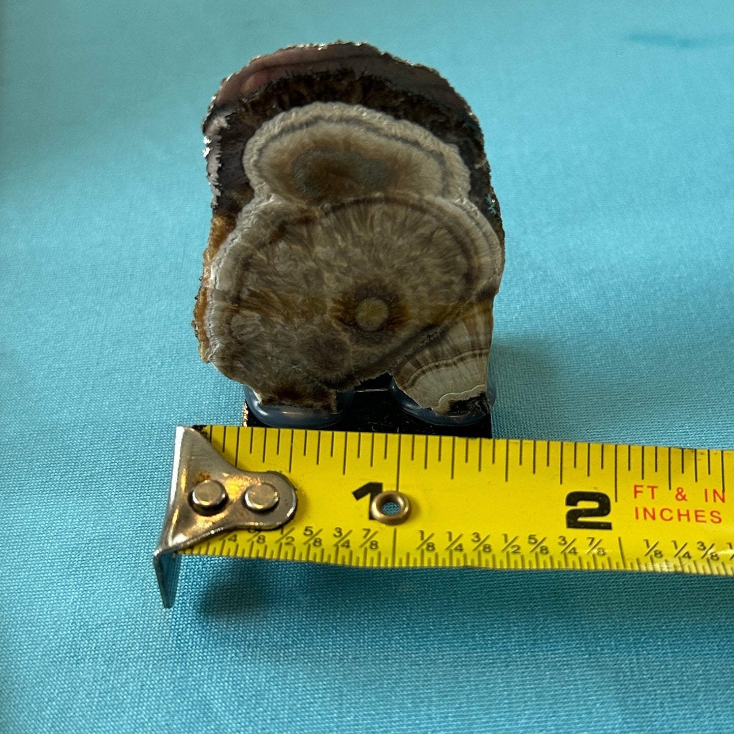 Baryte and Pyrite Slab from Poland, One Time Find!