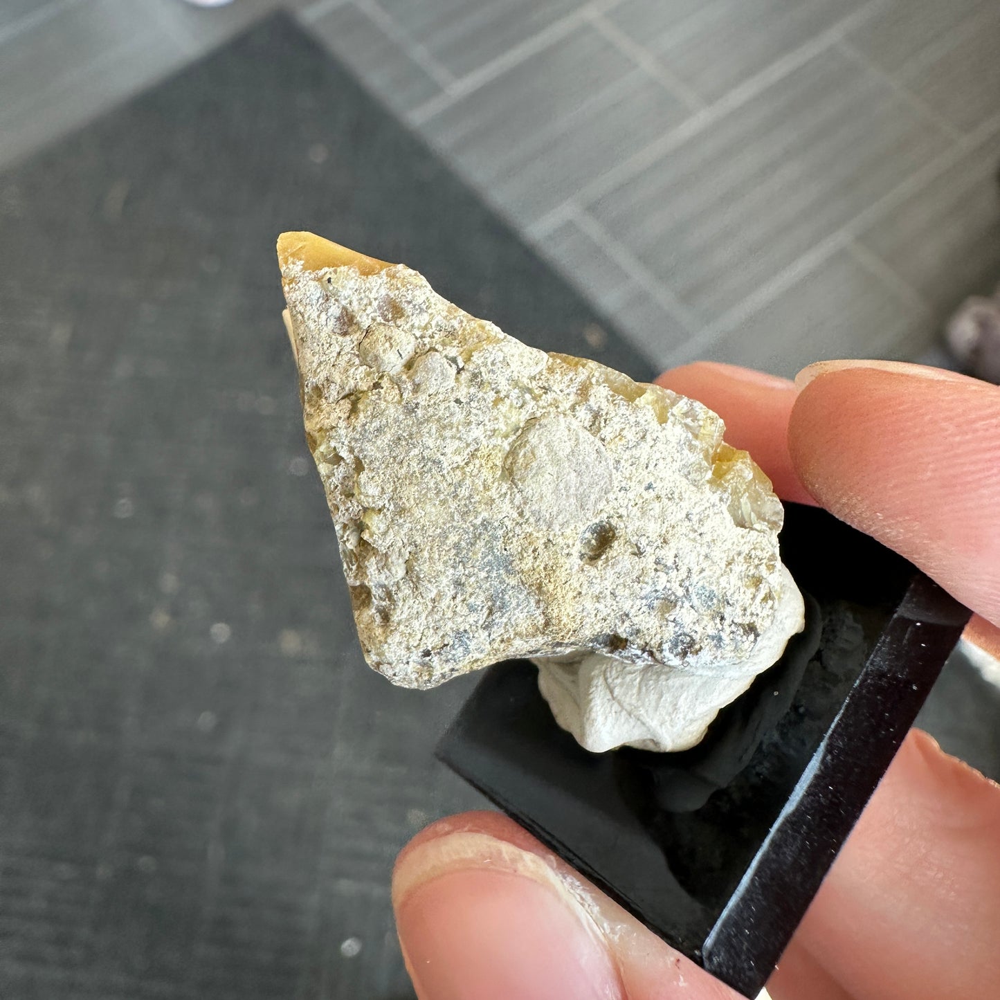 A+ 8.20g Welo Opal from Ethiopia