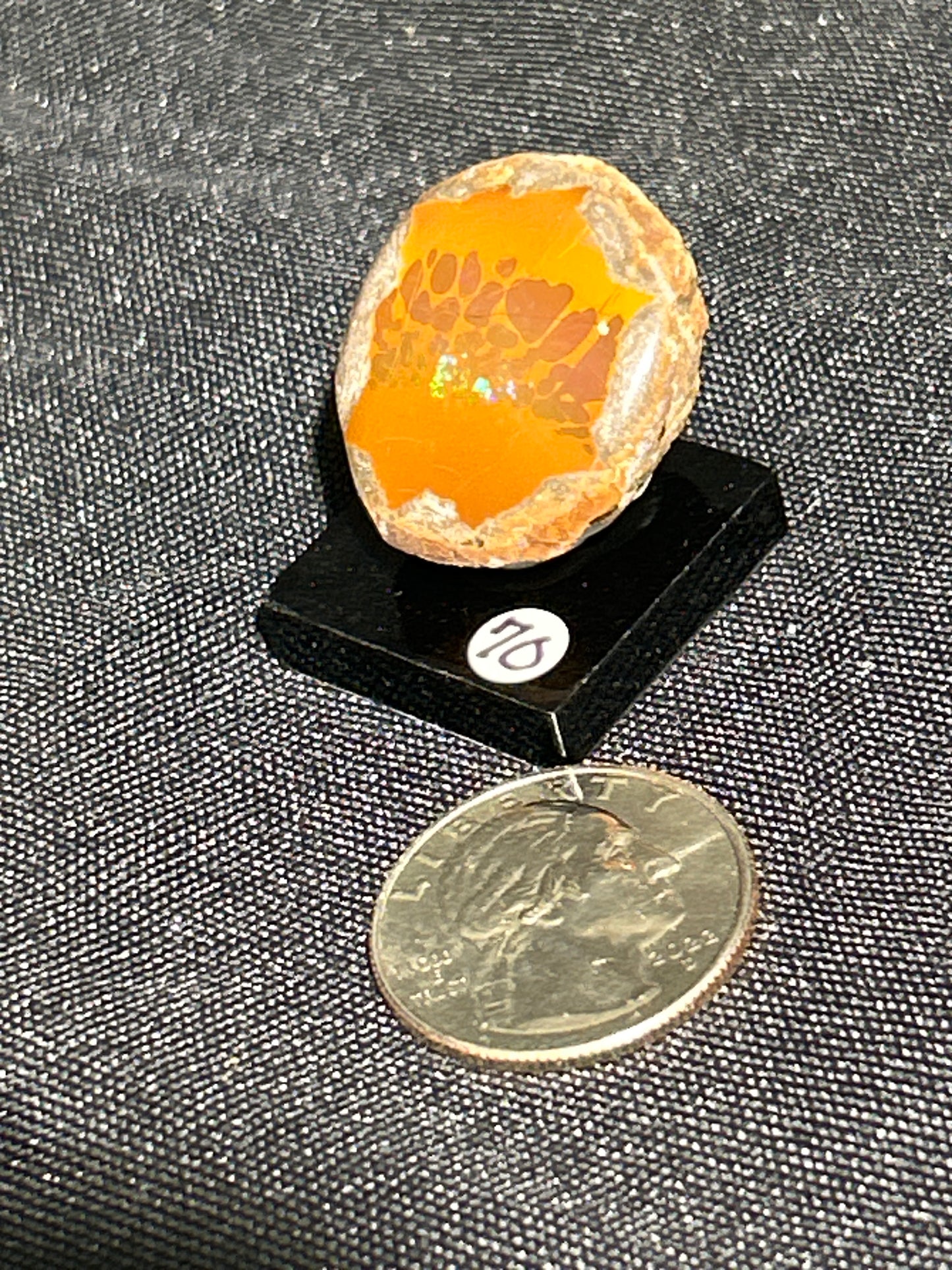 Polished Chocolate Opal from Ethiopia
