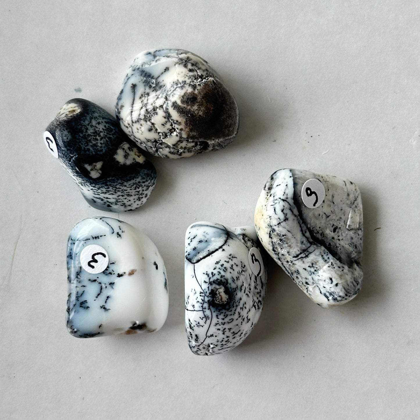 Medium Tumbled Porcelain White Dendritic Opal from Turkey