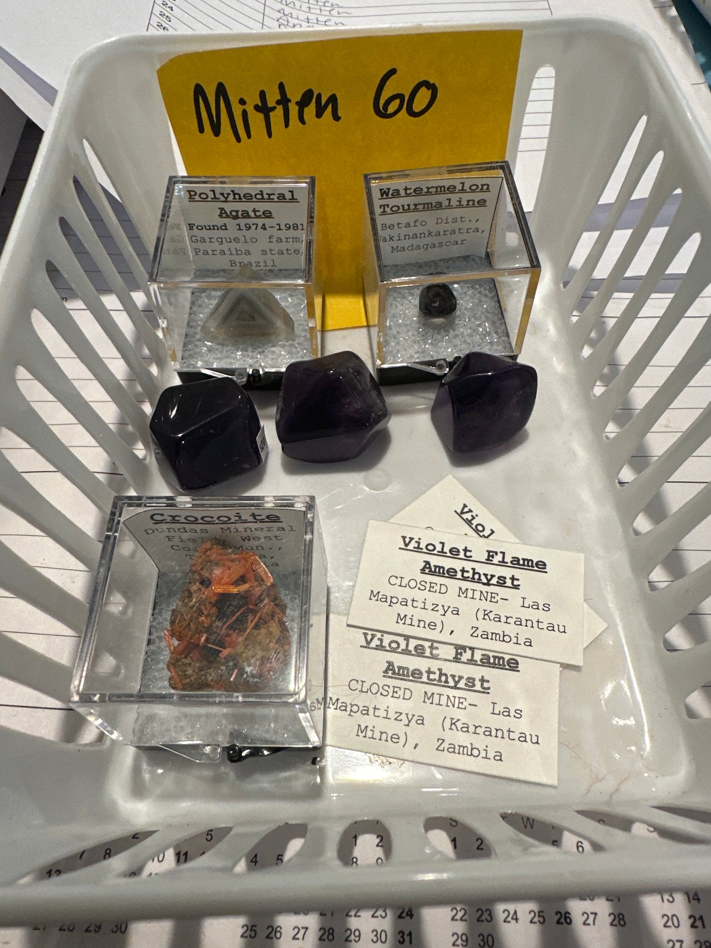 EM 03/13/26 TikTok Live Show Order Mitten 60