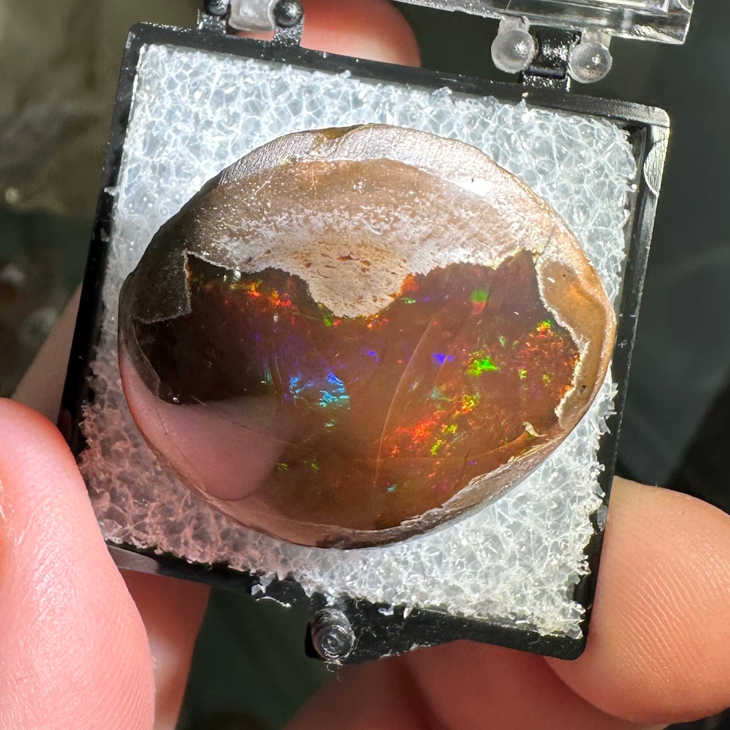 55.50ct A+ Polished Ethiopian Chocolate Opal in Perky Box