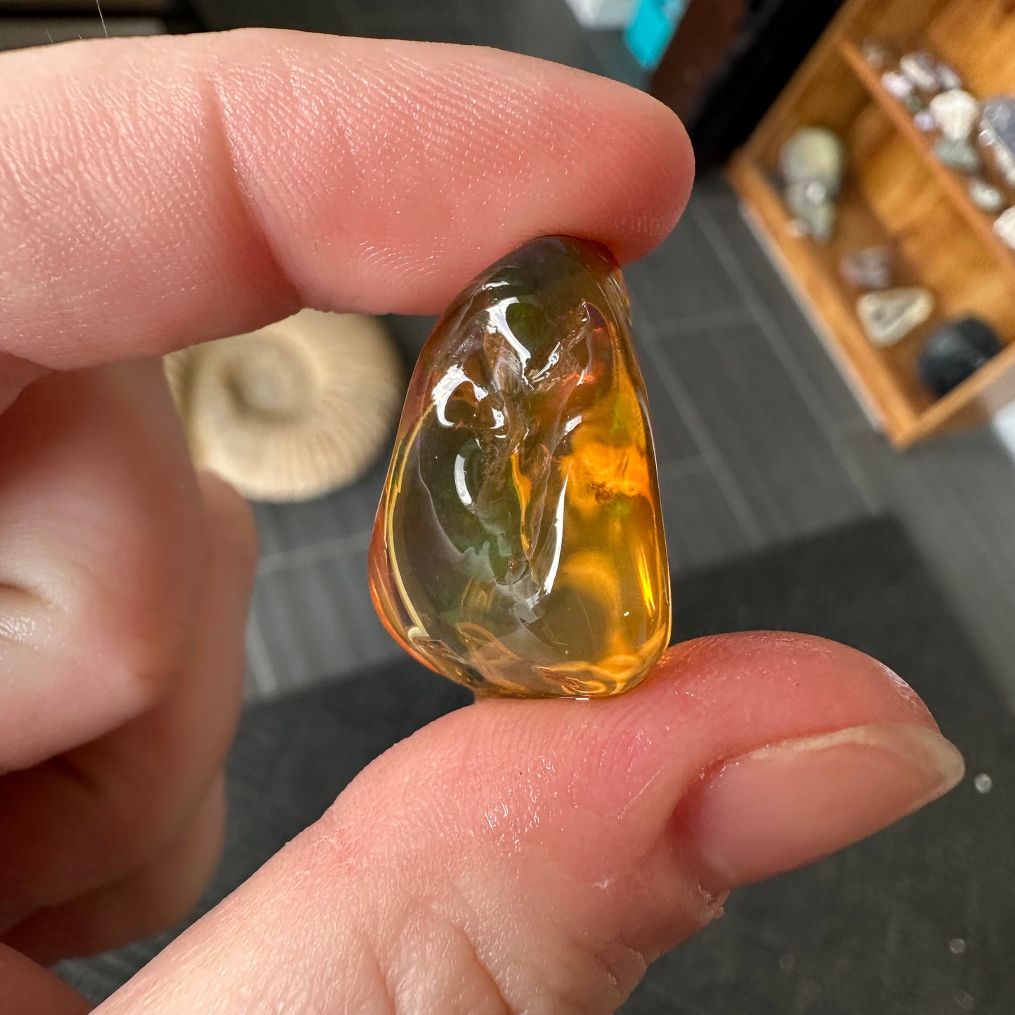 A+ 6.40g Welo Water Opal from Ethiopia