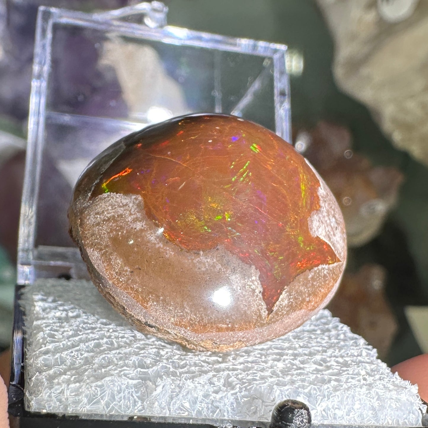 63ct A+ Polished Ethiopian Chocolate Opal in Perky Box
