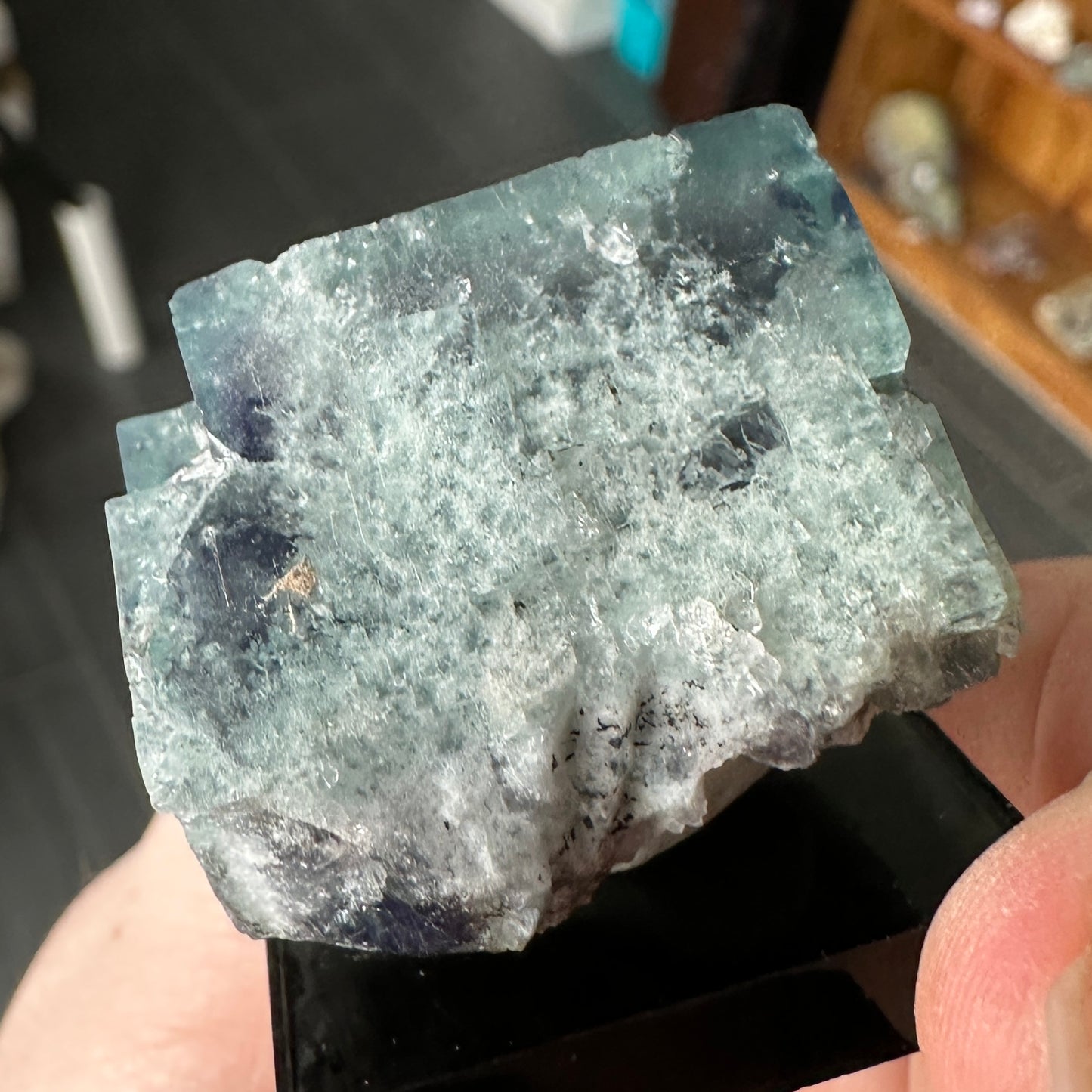 Miniature Size Green-Blue Daylight UV Reactive Fluorite with Quartz from the Hidden Forest Pocket, Diana Maria Mine, UK