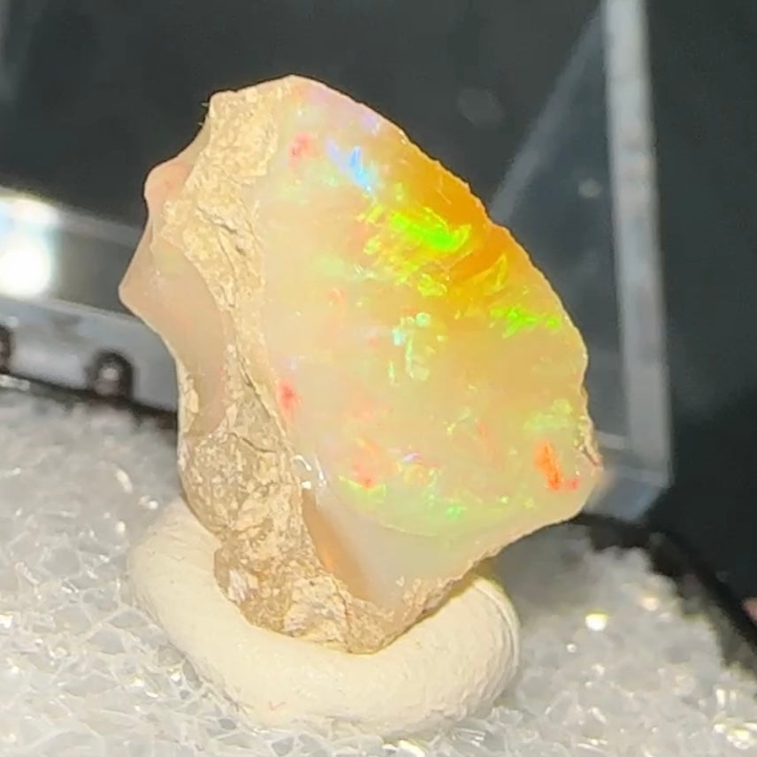 Stunning A+ Welo Opal in Perky Box from Ethiopia