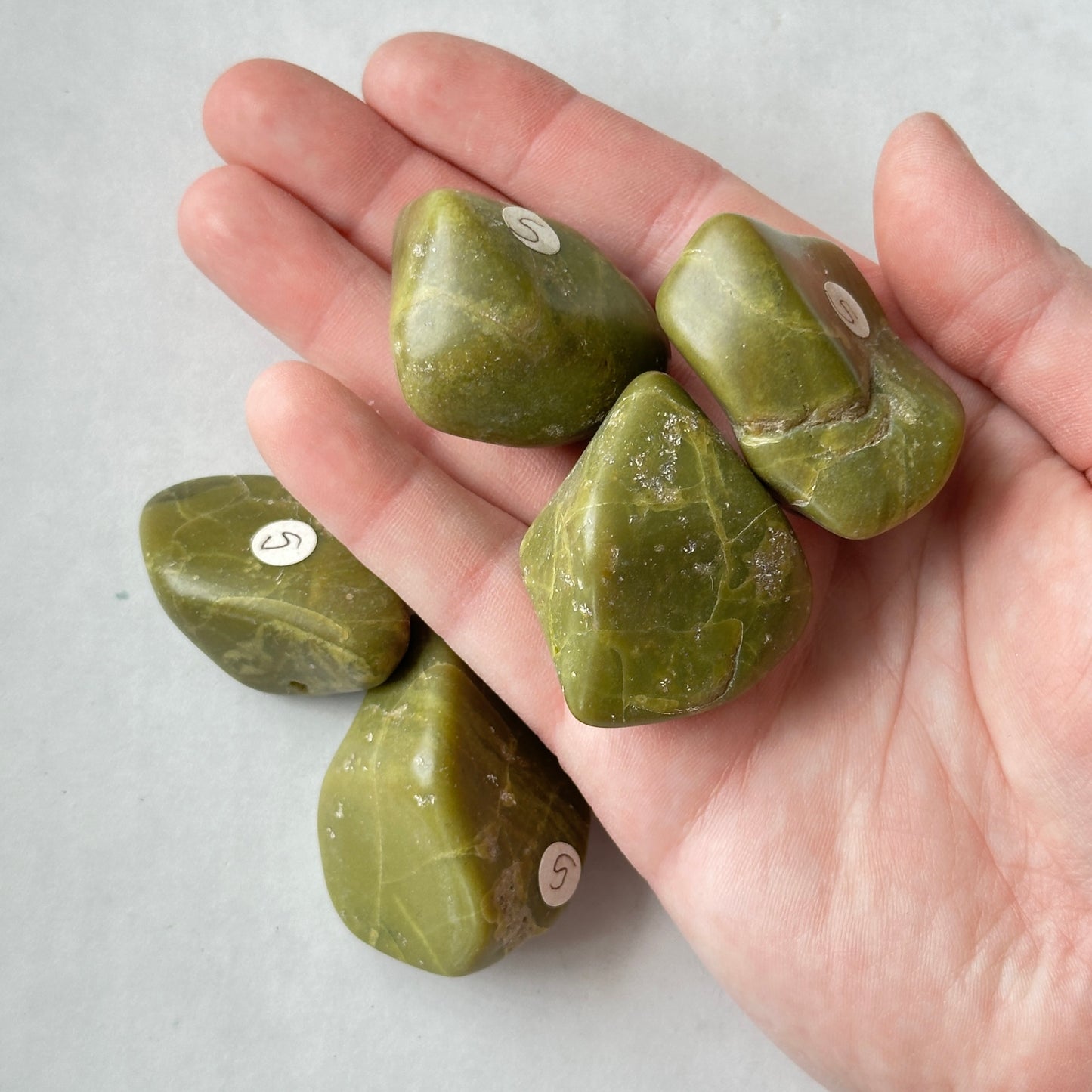 Medium Tumbled Green Opal from Madagascar