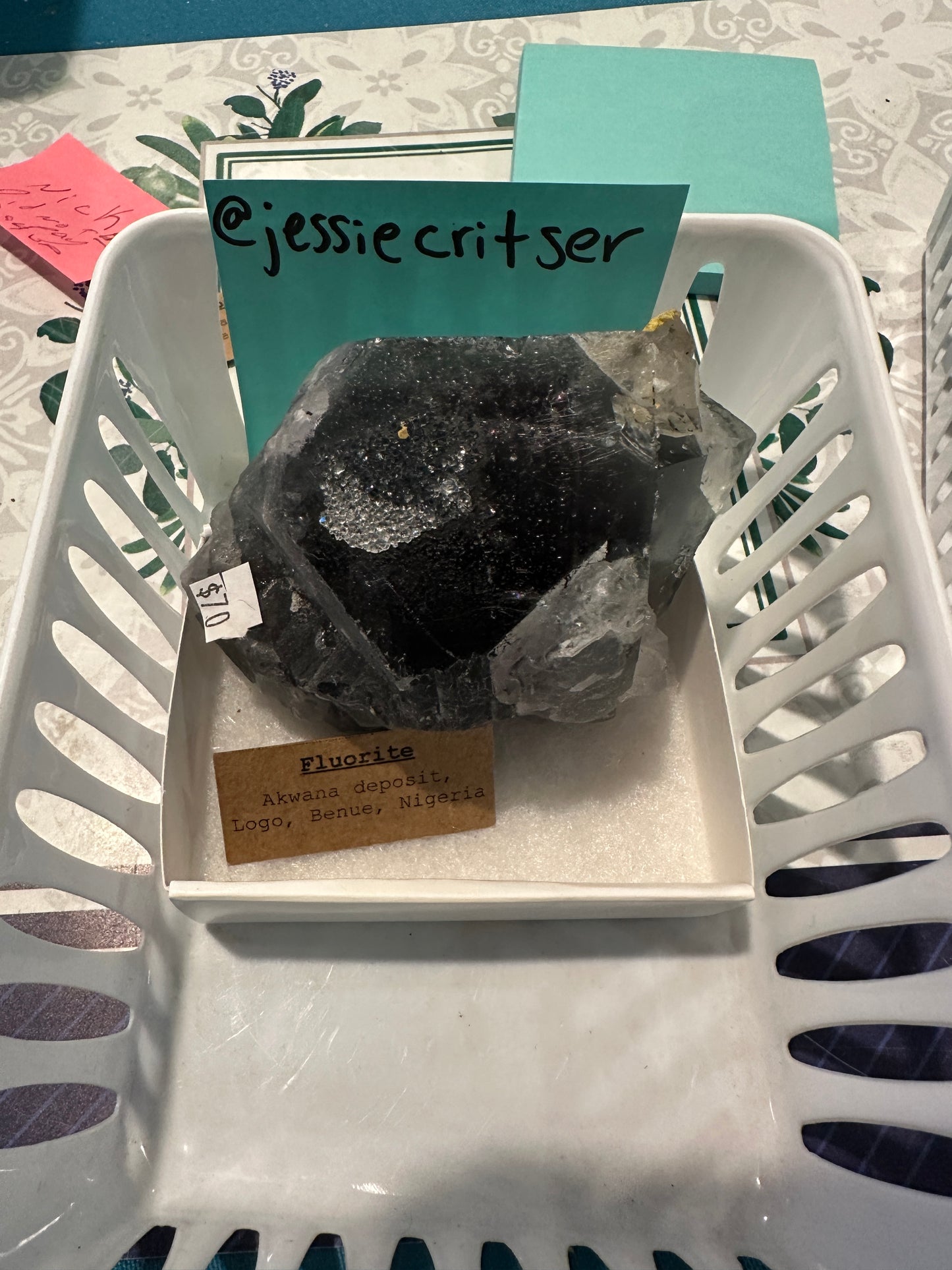 08/15/25 TikTok Live Sale Order @jessiecritser