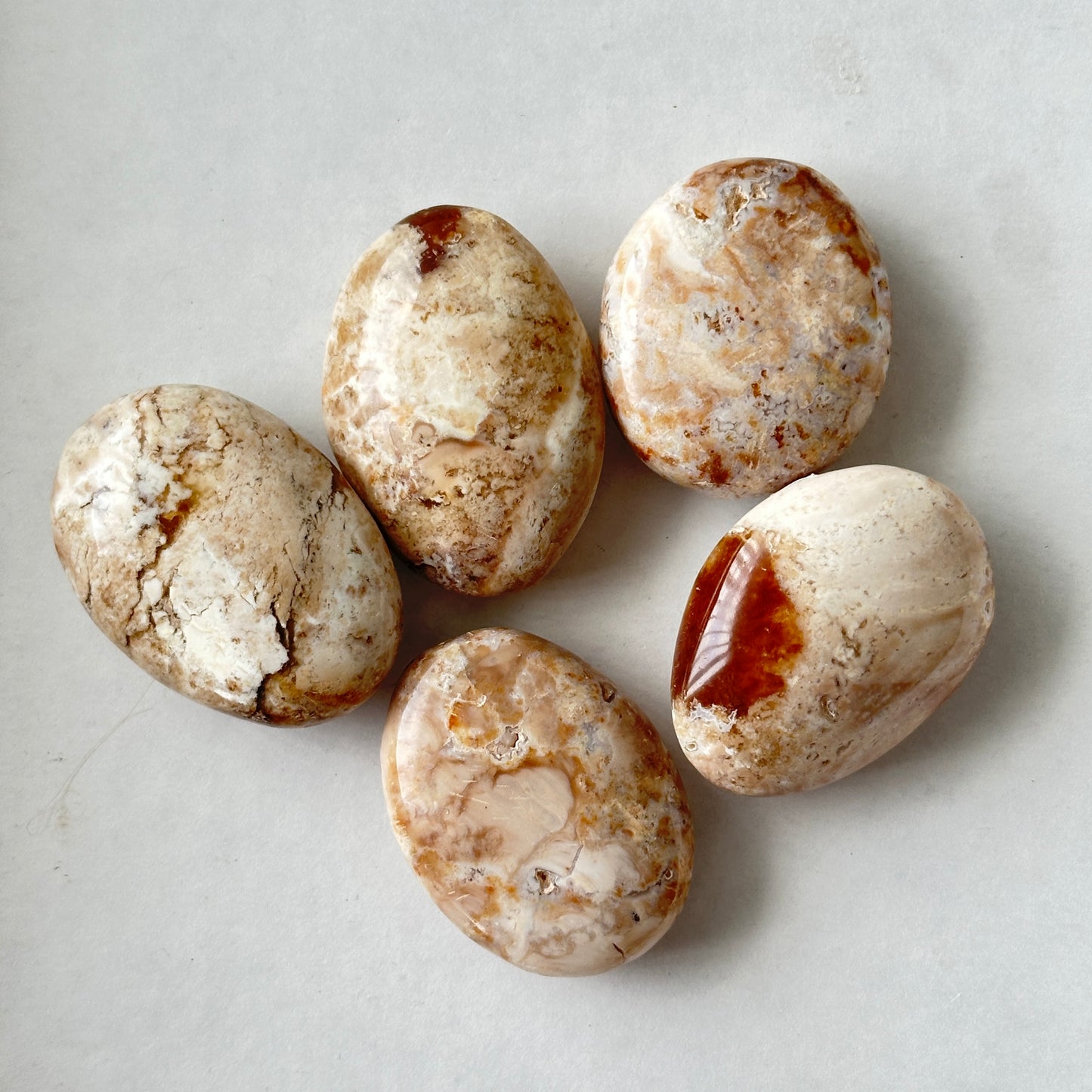 Medium Tumbled Cappuccino Opal Palm Stone from Madagascar
