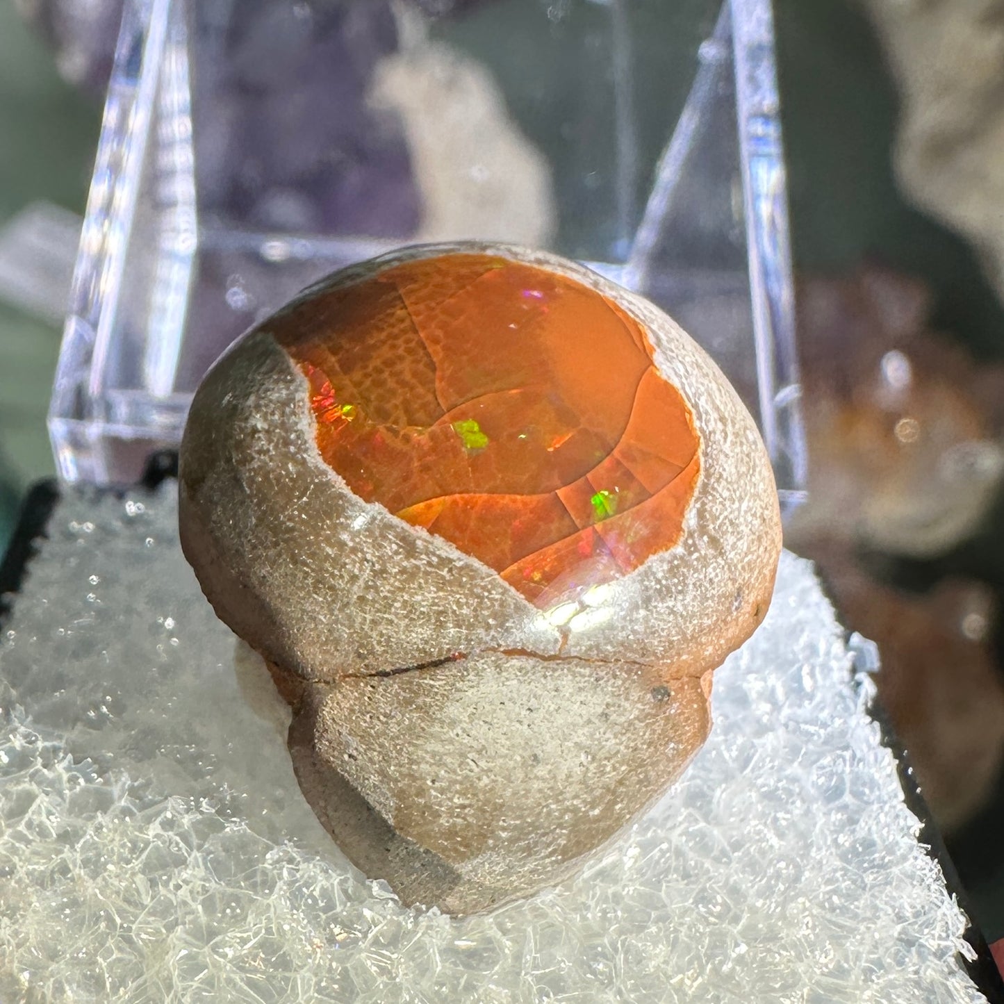 25.5ct A+ Polished Ethiopian Chocolate Opal in Perky Box