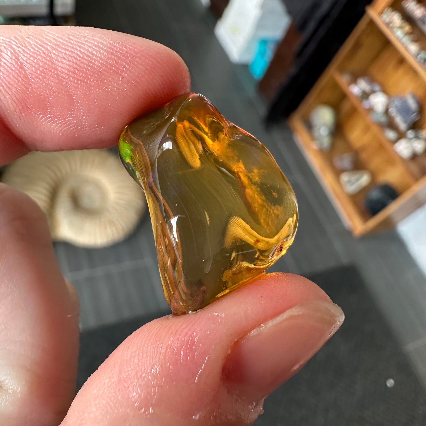 A+ 6.40g Welo Water Opal from Ethiopia