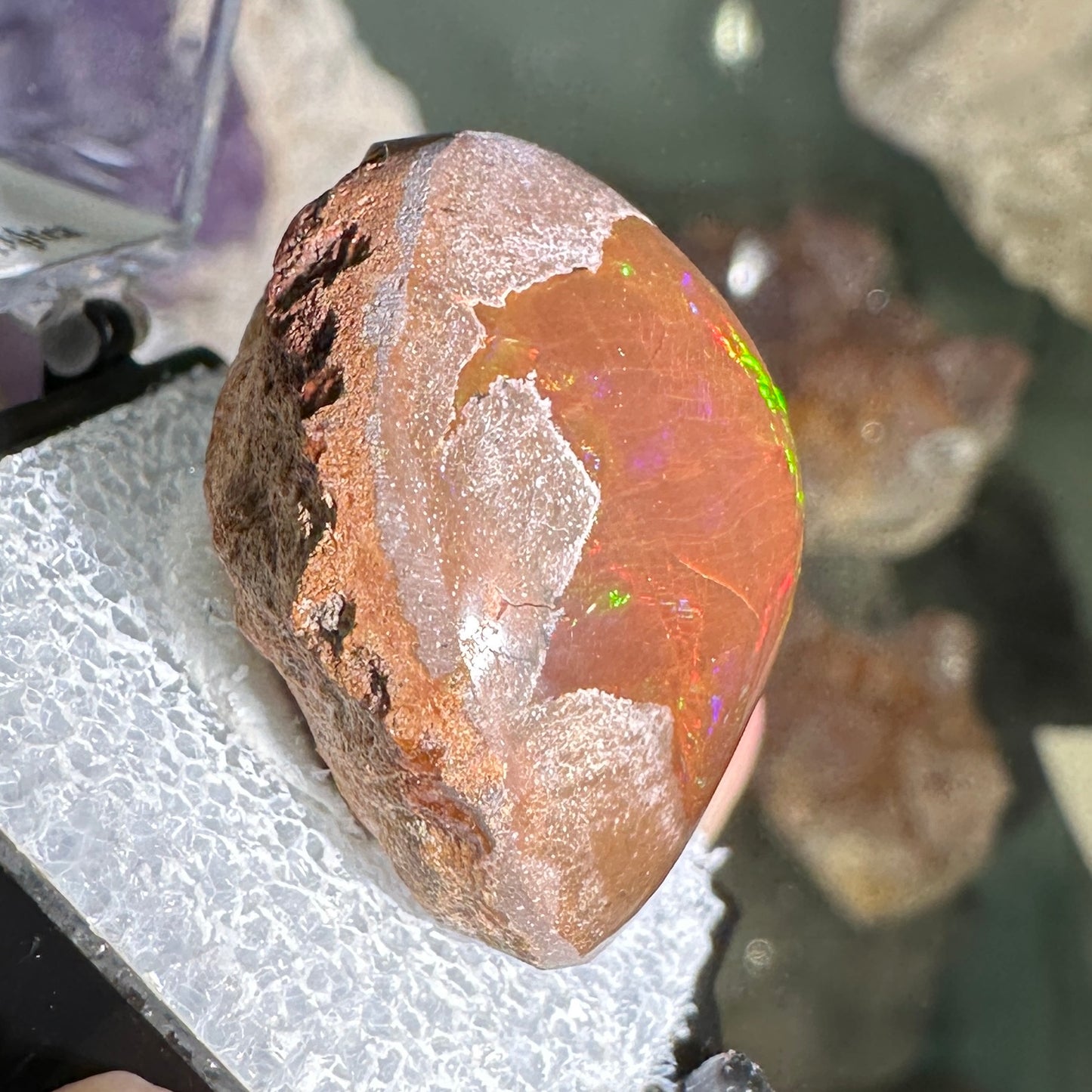 63ct A+ Polished Ethiopian Chocolate Opal in Perky Box
