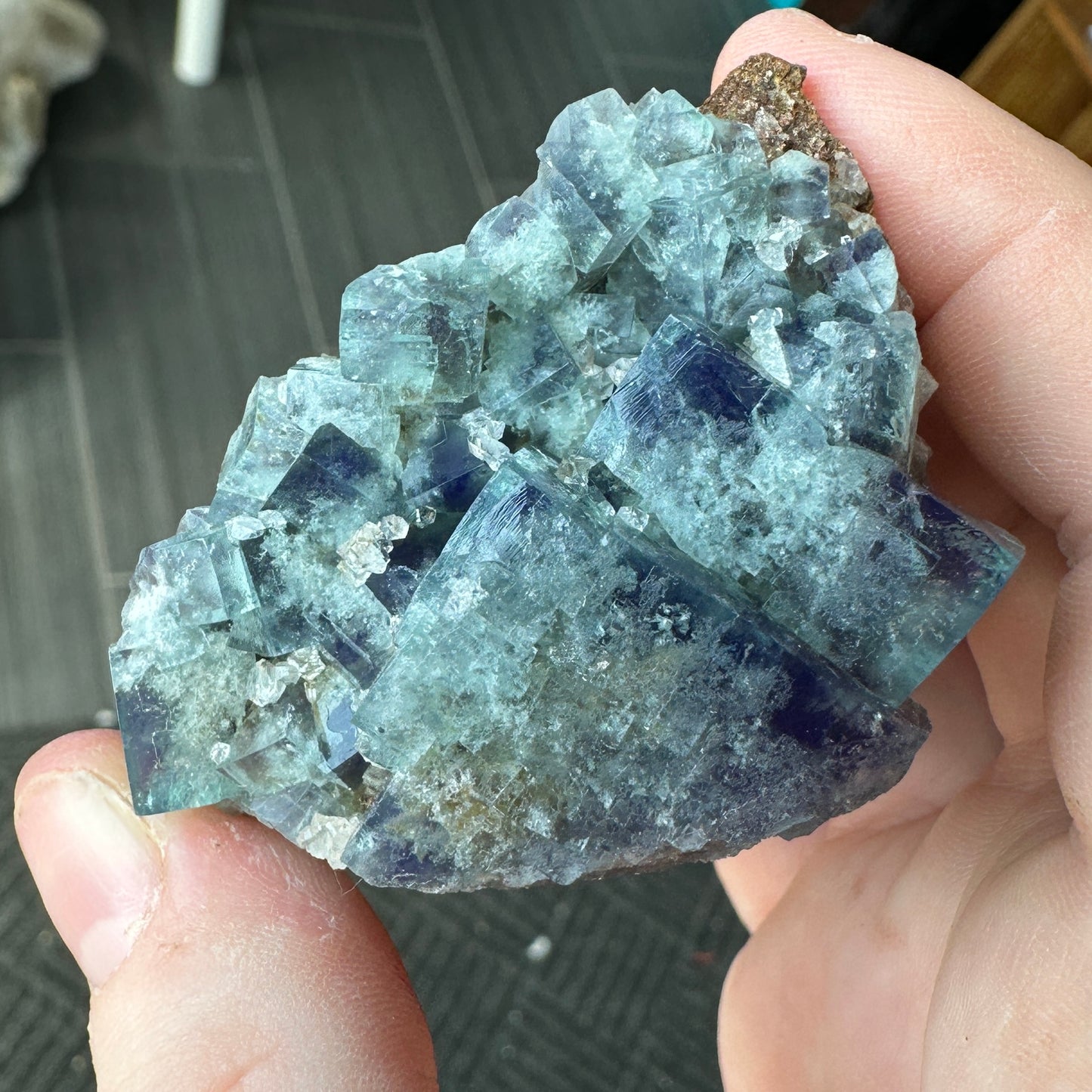 Cabinet Size Green-Blue Daylight UV Reactive Fluorite with Quartz from the Hidden Forest Pocket, Diana Maria Mine, UK