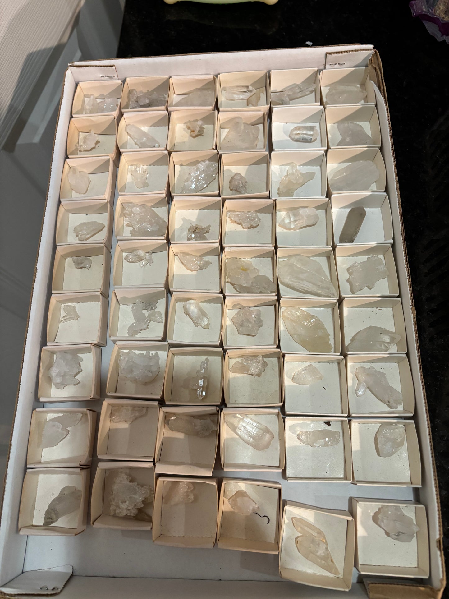 11/29 TikTok live show @boundindestiny2