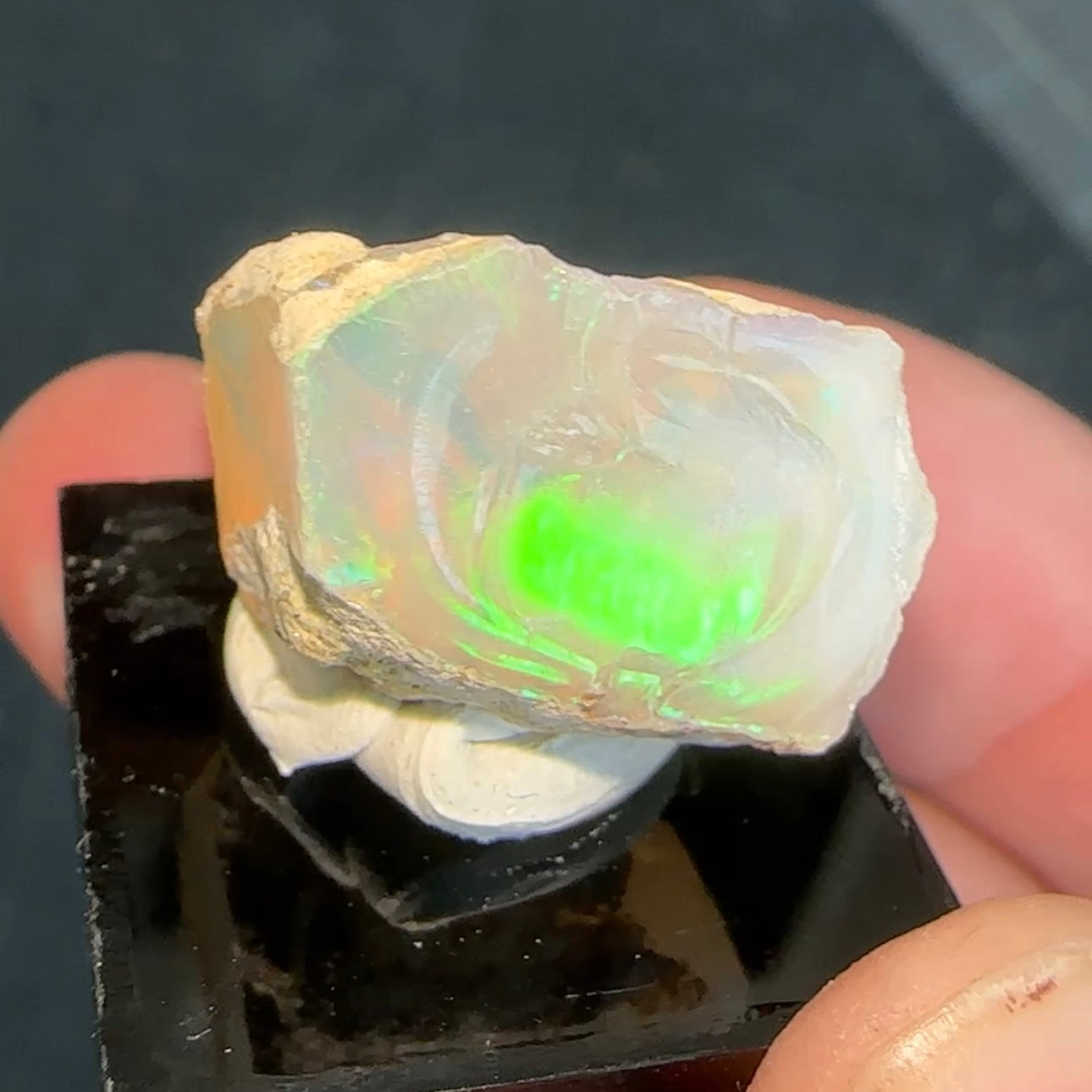 Stunning 2.61g A+ Welo Opal from Ethiopia