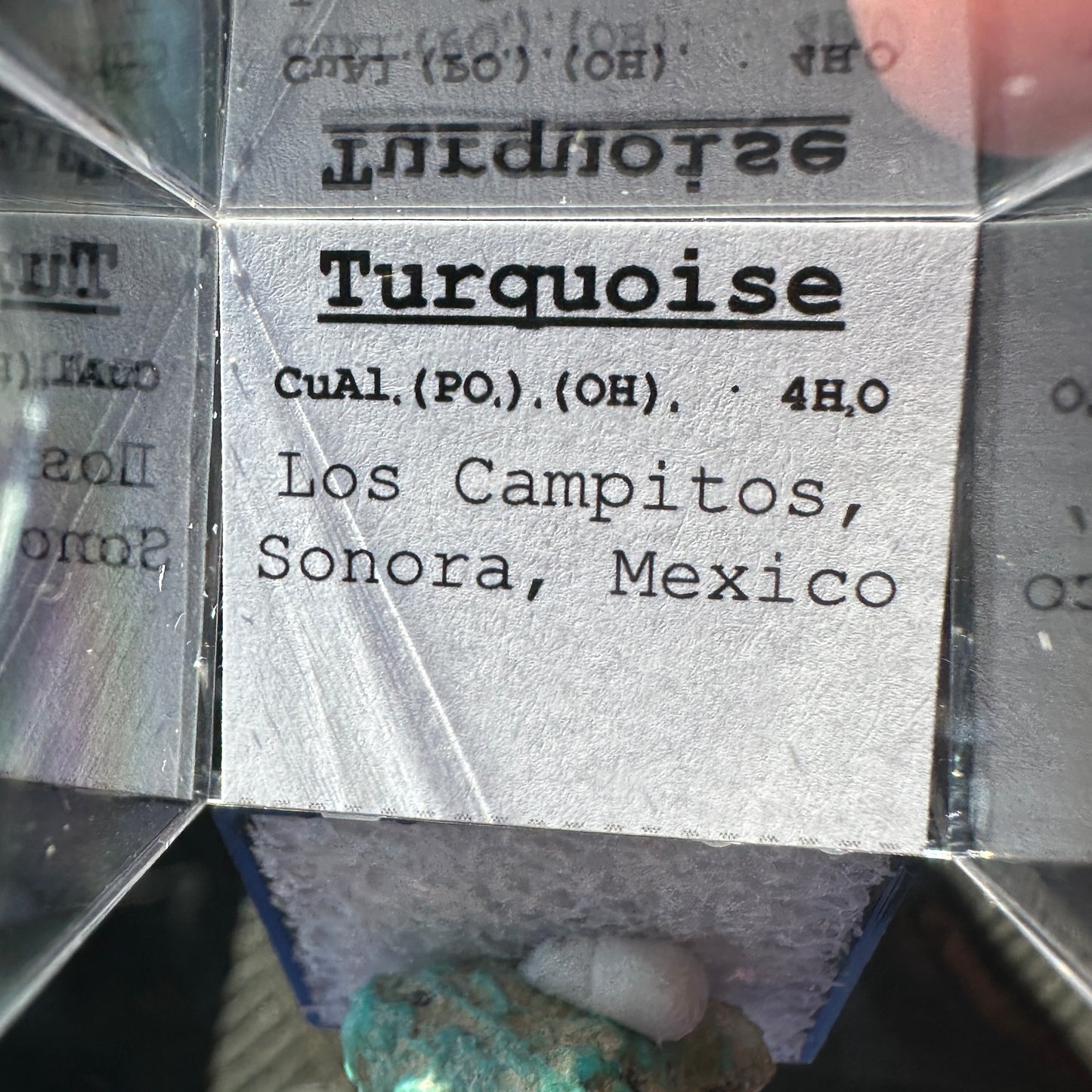 Turquoise Perky Box Specimen from Mexico