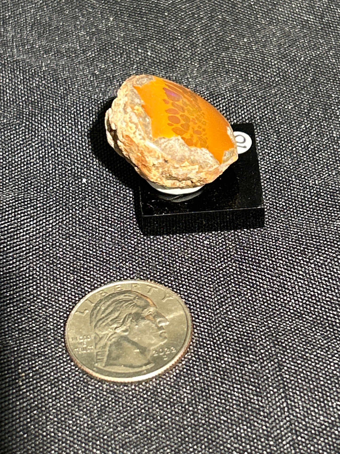 Polished Chocolate Opal from Ethiopia