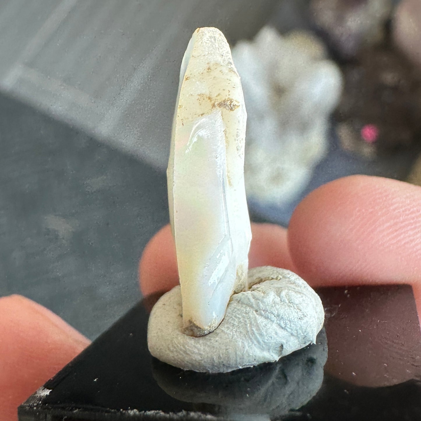 Stunning 1.55g A+ Welo Opal from Ethiopia
