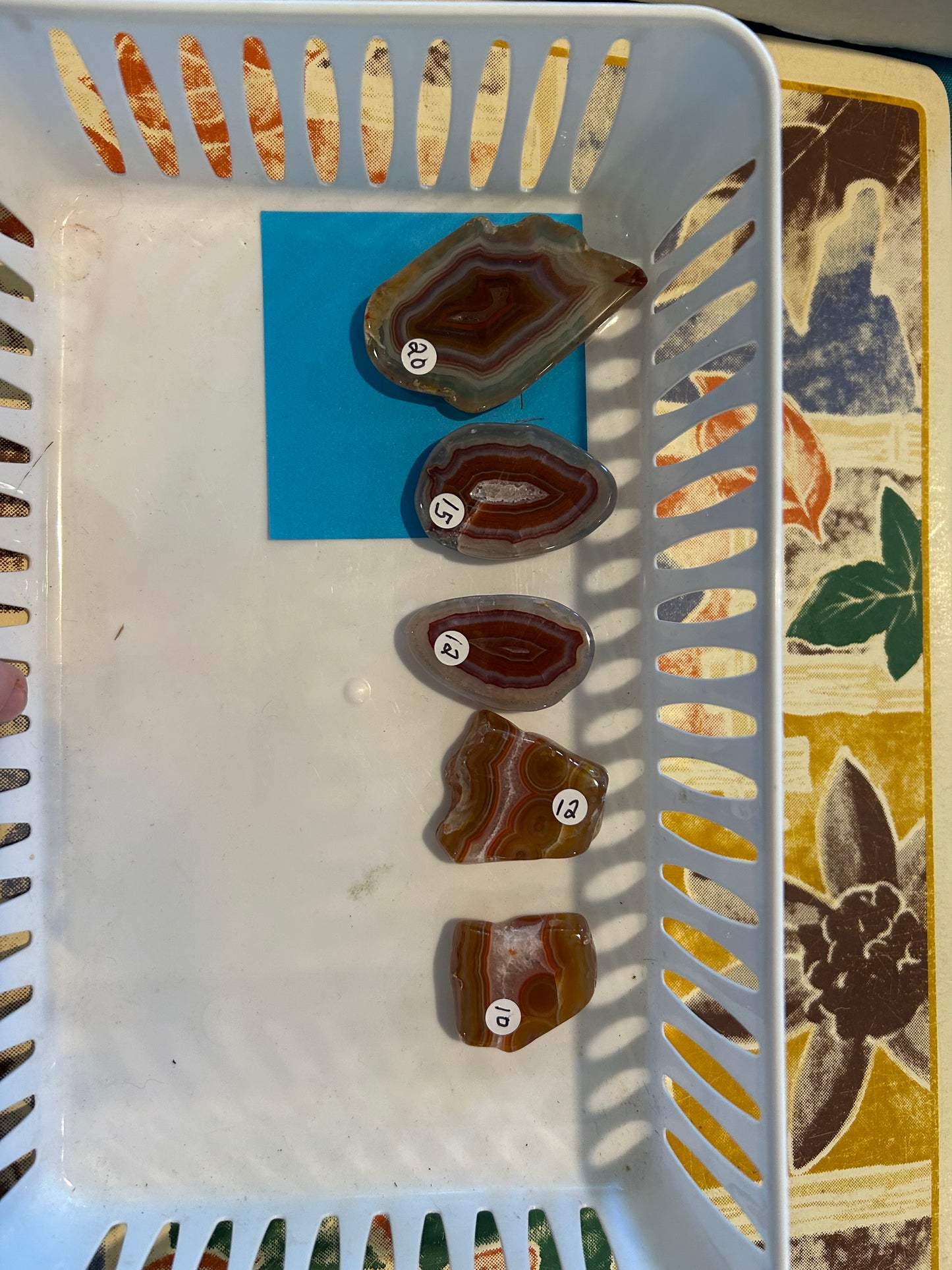 5/10/2025 TikTok Live Order Healing_Minerals