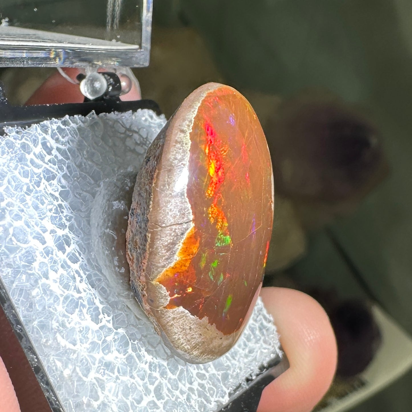 26ct A+ Polished Ethiopian Chocolate Opal in Perky Box