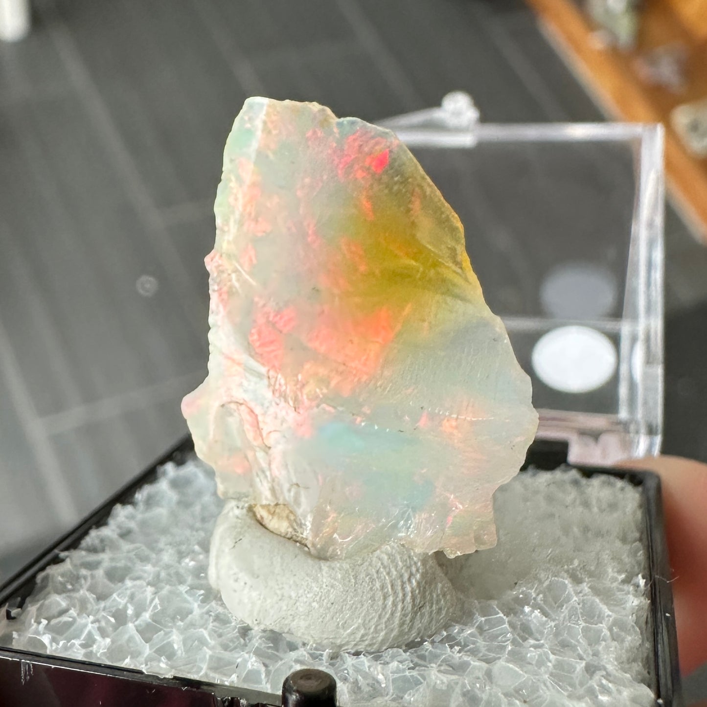 Stunning A+ Welo Opal in Perky Box from Ethiopia
