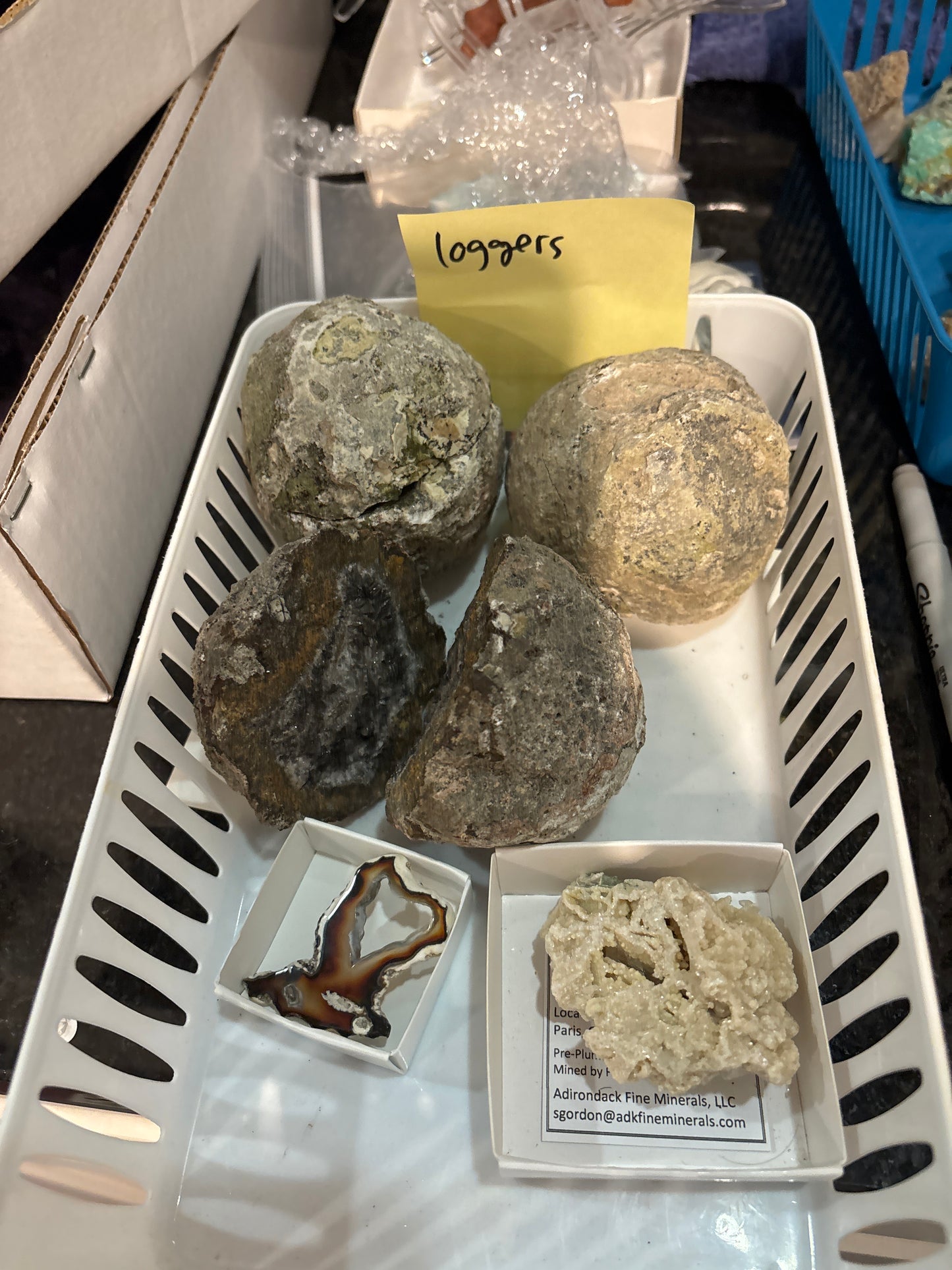 10/25/25 TikTok Live Show Order loggersexwife0602