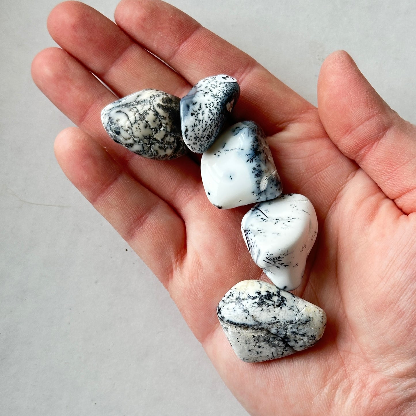 Medium Tumbled Porcelain White Dendritic Opal from Turkey