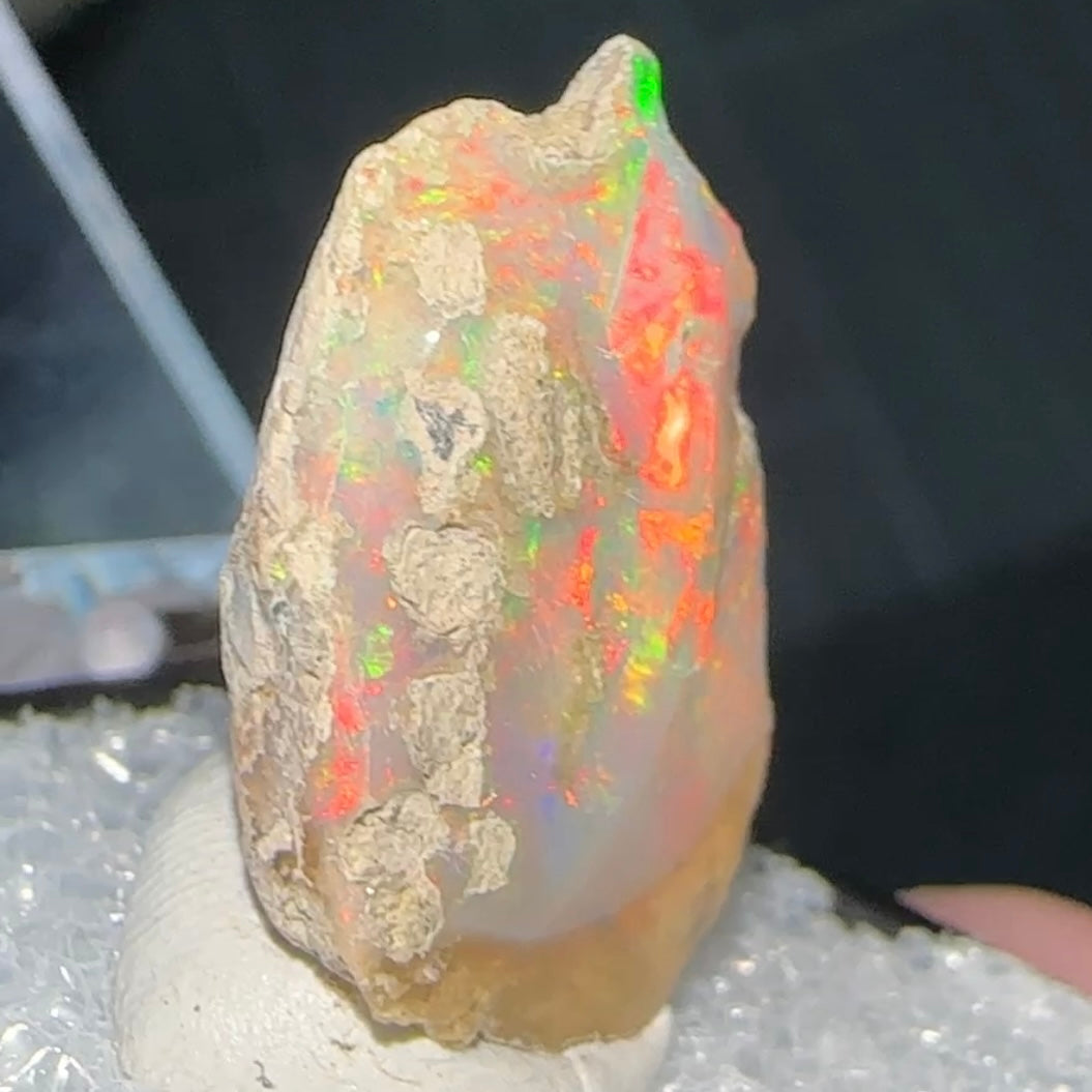 Stunning A+ Welo Opal in Perky Box from Ethiopia