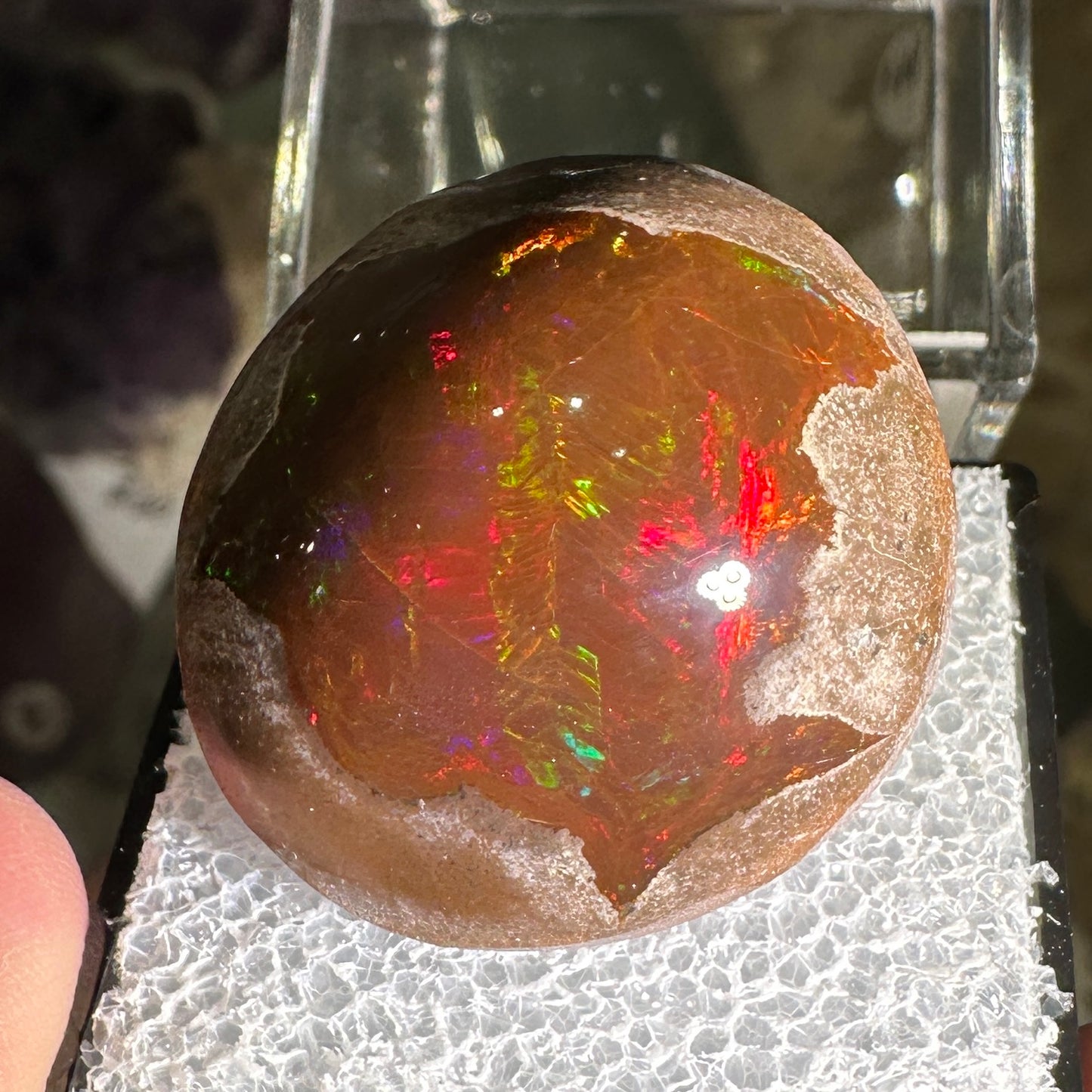 63ct A+ Polished Ethiopian Chocolate Opal in Perky Box