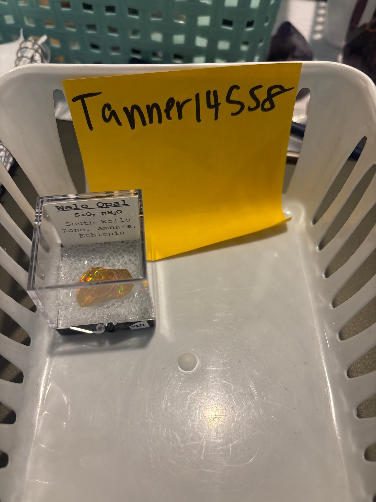 EM 03/14/26 TikTok Live Show Order Tanner14558