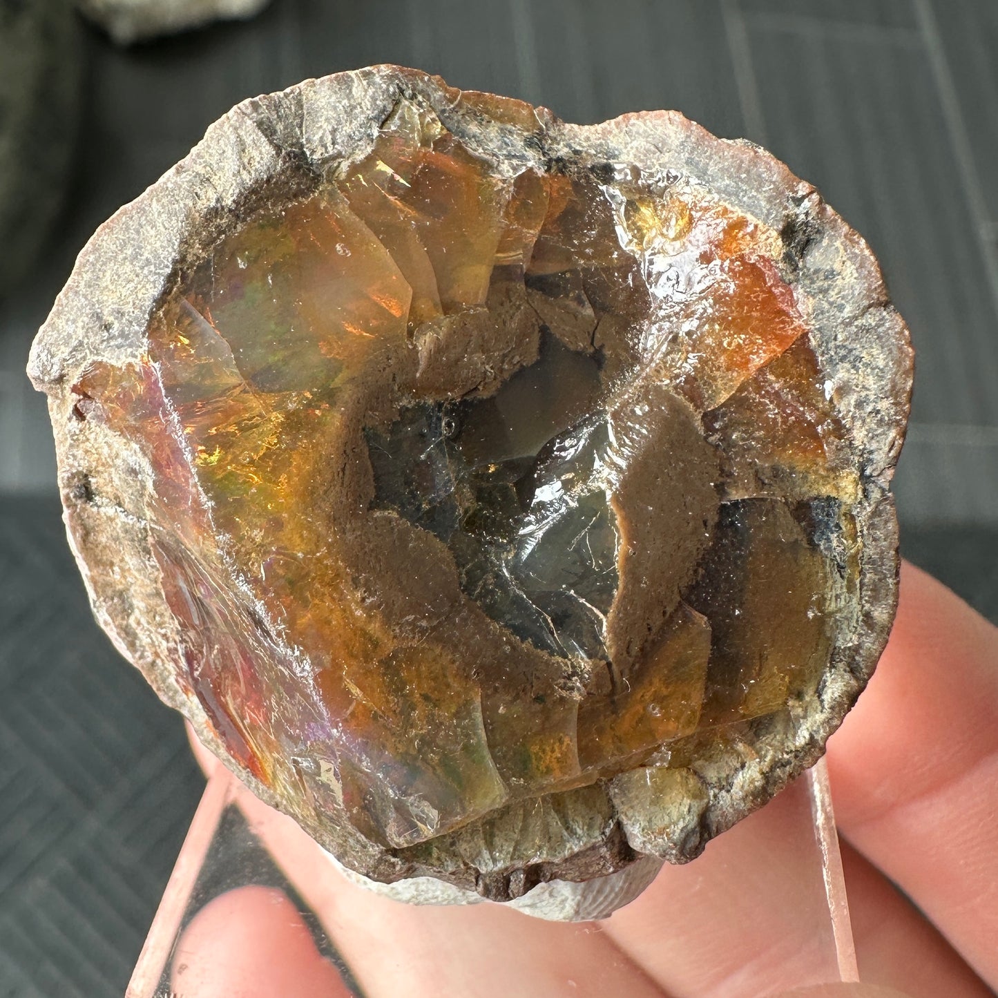 Chocolate Fire Opal Miniature from Ethiopia