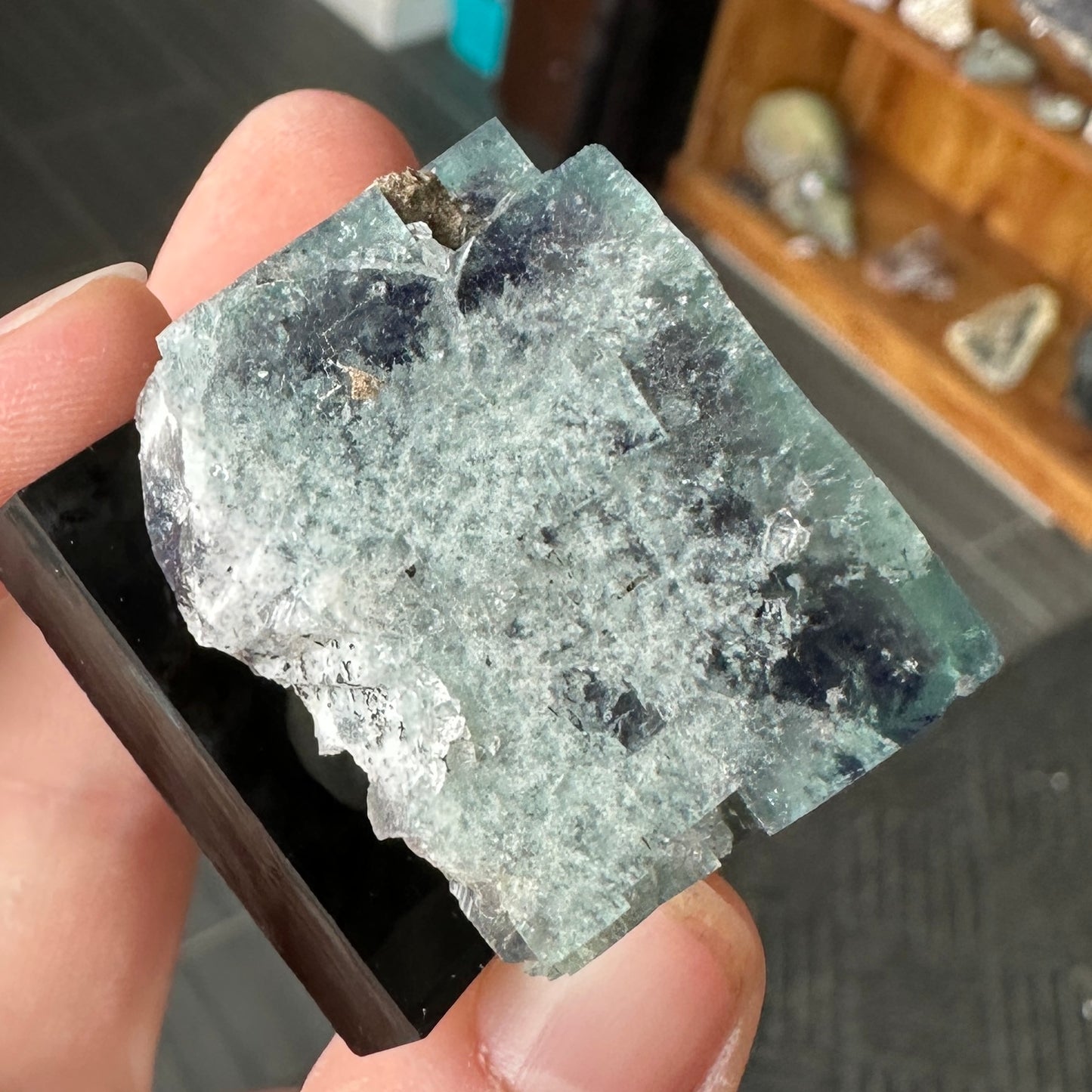 Miniature Size Green-Blue Daylight UV Reactive Fluorite with Quartz from the Hidden Forest Pocket, Diana Maria Mine, UK