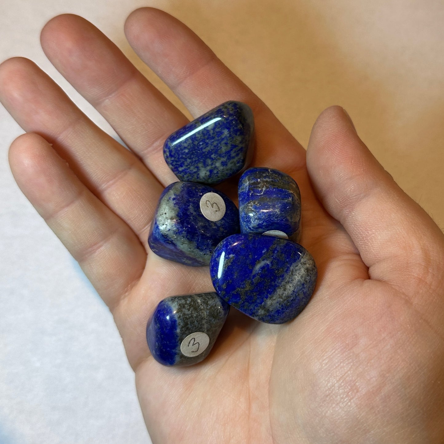 Small Tumbled Blue Lapis Lazuli from Afghanistan