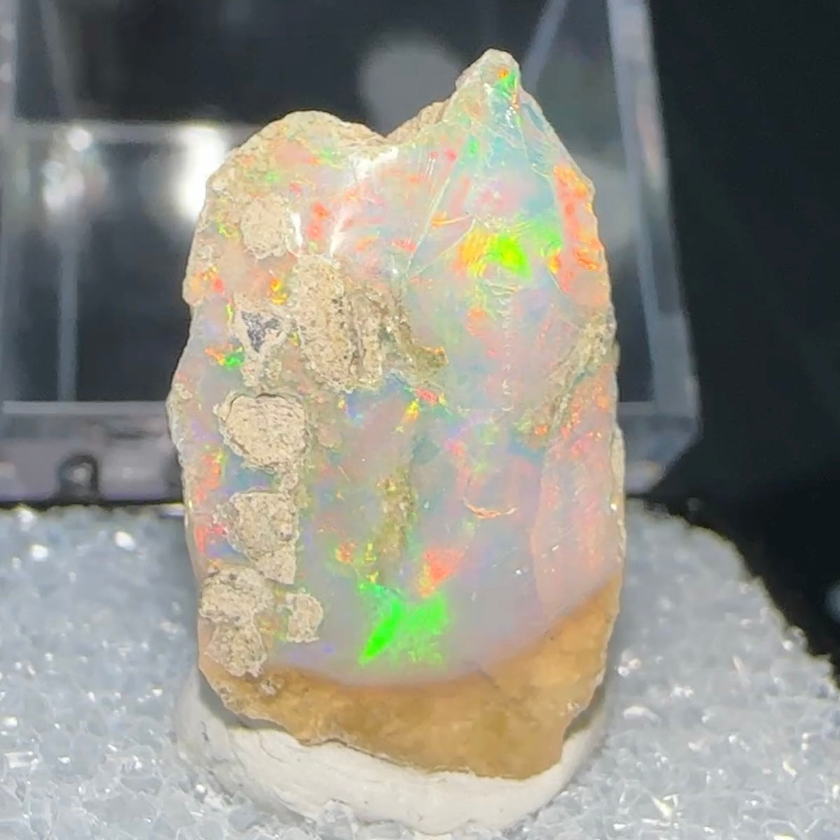 Stunning A+ Welo Opal in Perky Box from Ethiopia