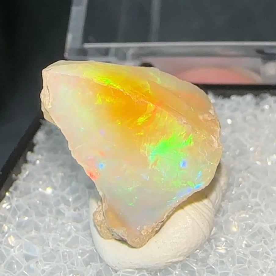 Stunning A+ Welo Opal in Perky Box from Ethiopia