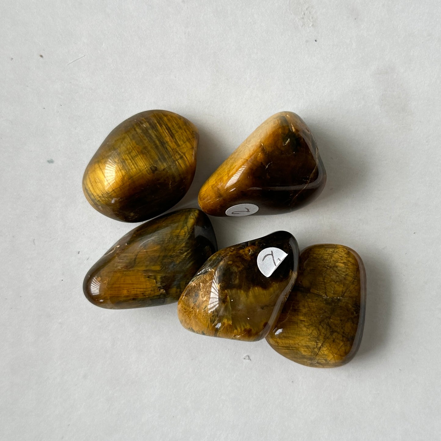 Medium Tumbled Hawks Eye Crocodilite from South Africa