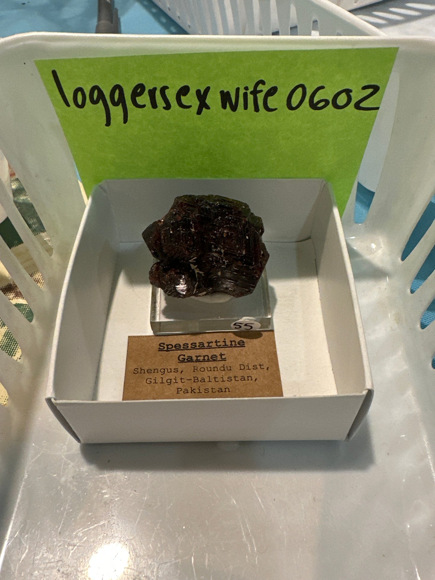 10/10/25 TikTok Live Order loggersexwife0602