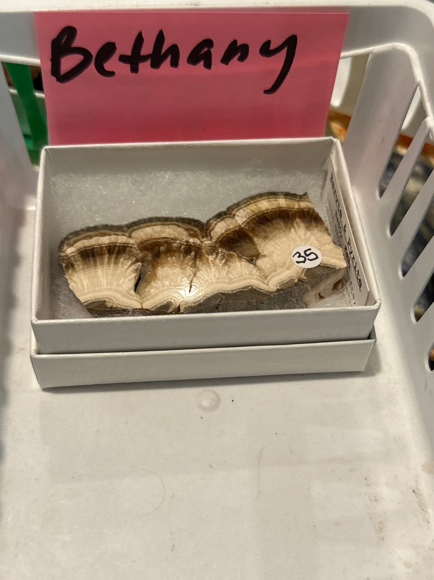 03/06/26 TikTok Live Show Order Bethany