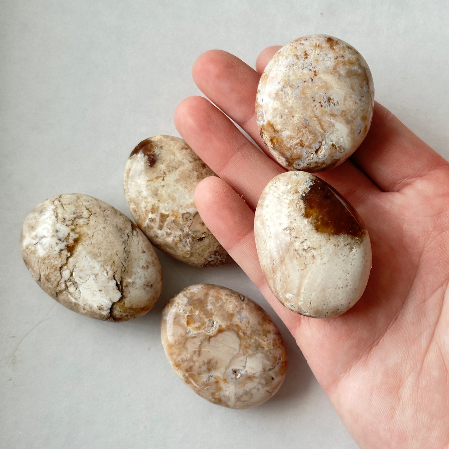 Medium Tumbled Cappuccino Opal Palm Stone from Madagascar