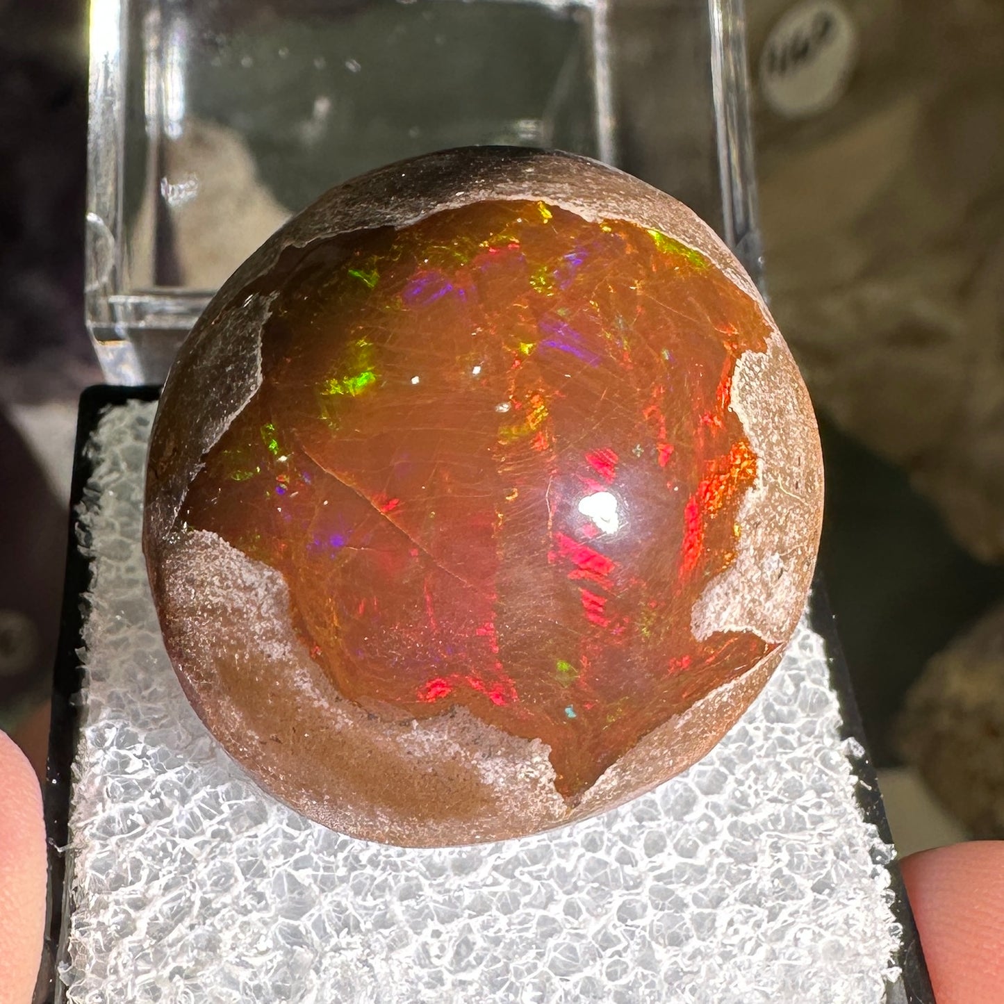 63ct A+ Polished Ethiopian Chocolate Opal in Perky Box