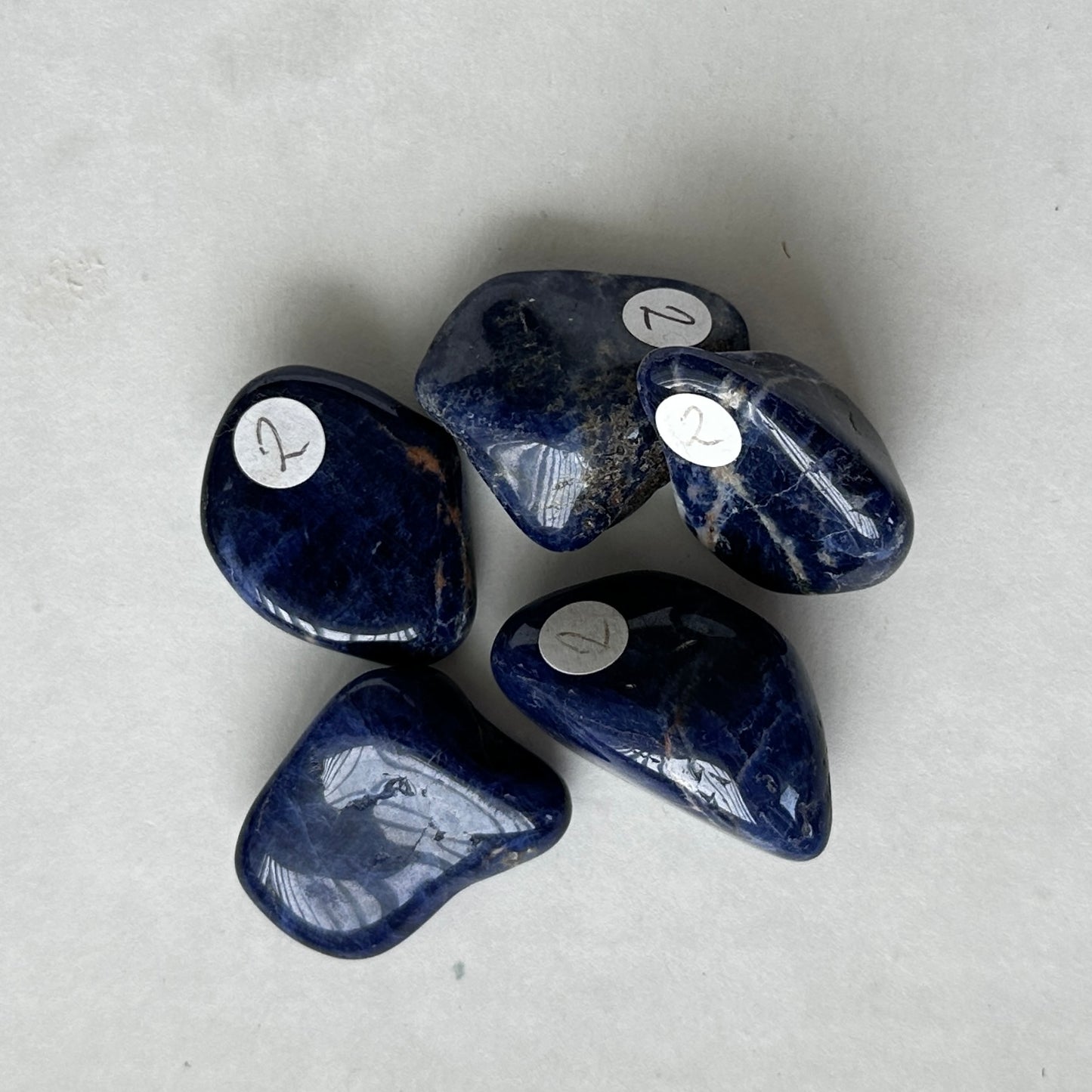 Medium Tumbled Blue Sodalite from Afghanistan