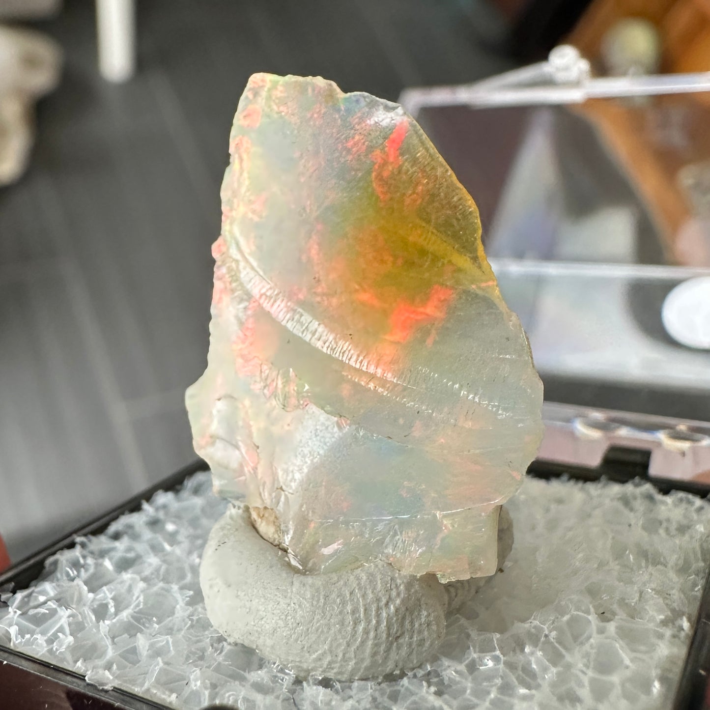 Stunning A+ Welo Opal in Perky Box from Ethiopia