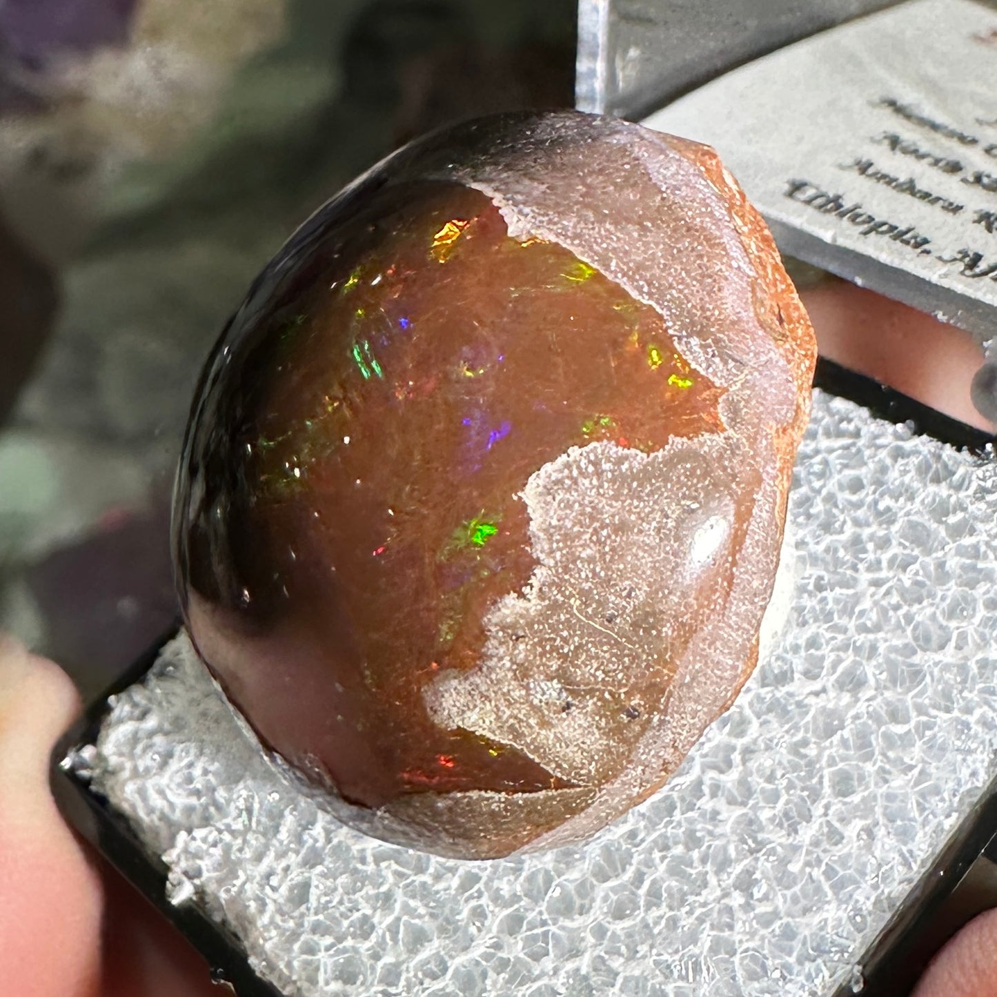 63ct A+ Polished Ethiopian Chocolate Opal in Perky Box