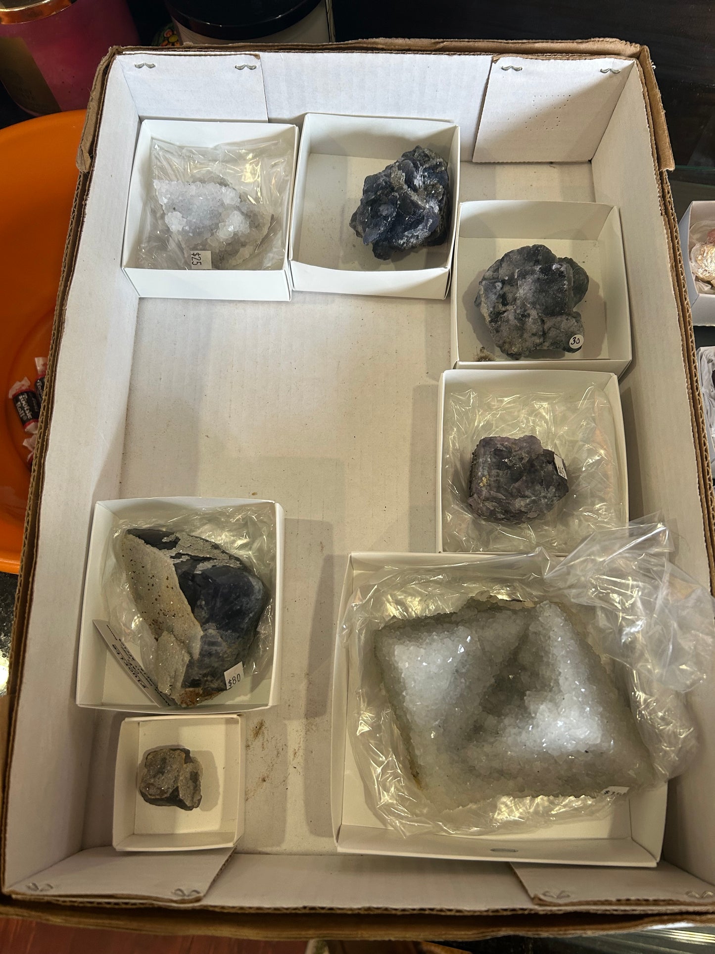 Cara Group 8/26/25