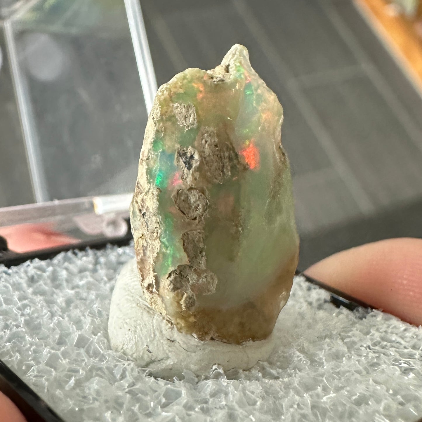 Stunning A+ Welo Opal in Perky Box from Ethiopia