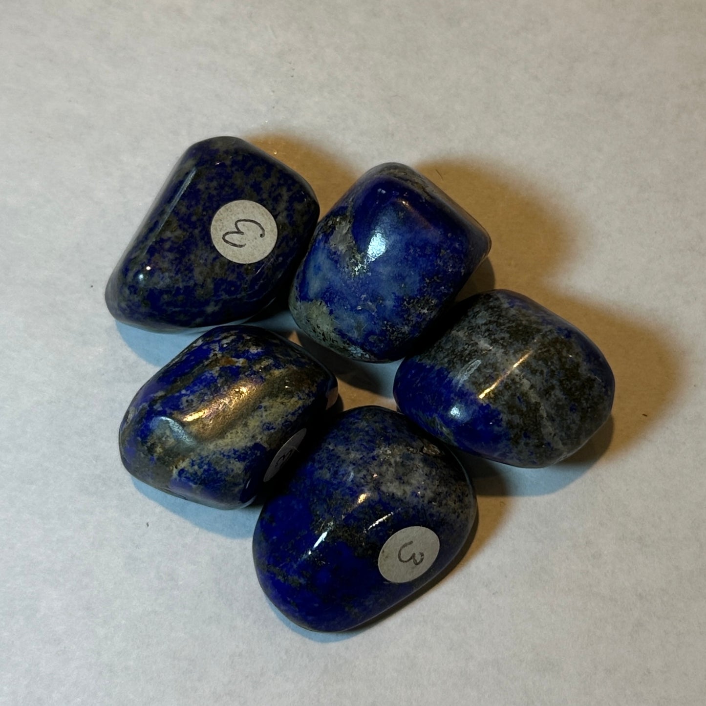 Small Tumbled Blue Lapis Lazuli from Afghanistan