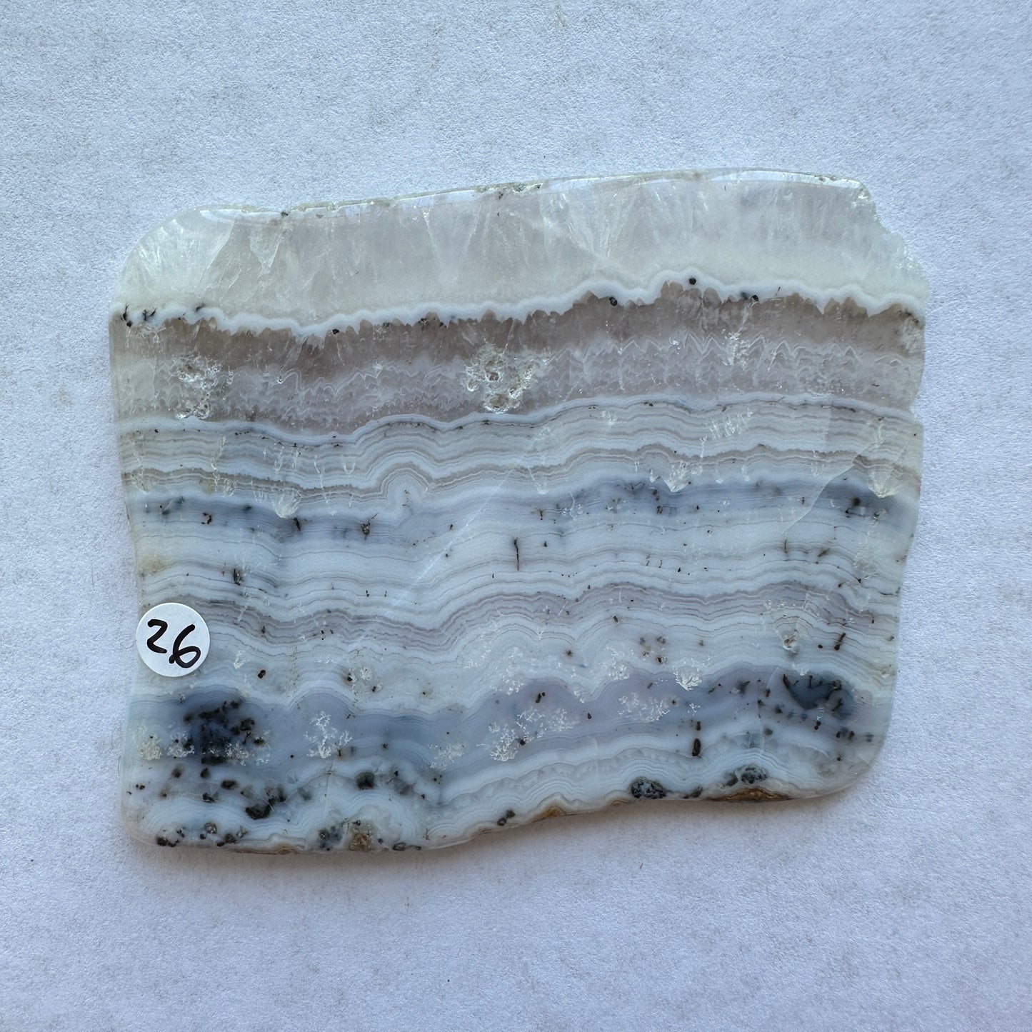 55.82g Colorado Silver-Bearing Amethyst Sowbelly Agate Slab